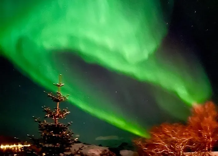 Hébergement de vacances Brensholmen House *